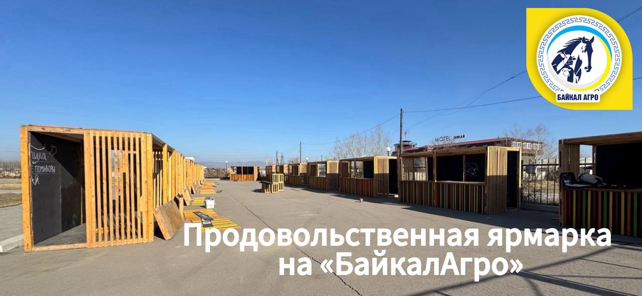 На «БайкалАгро» можно выиграть трех баранов и бычка